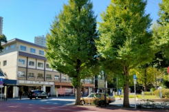 �N���j�b�N�O��